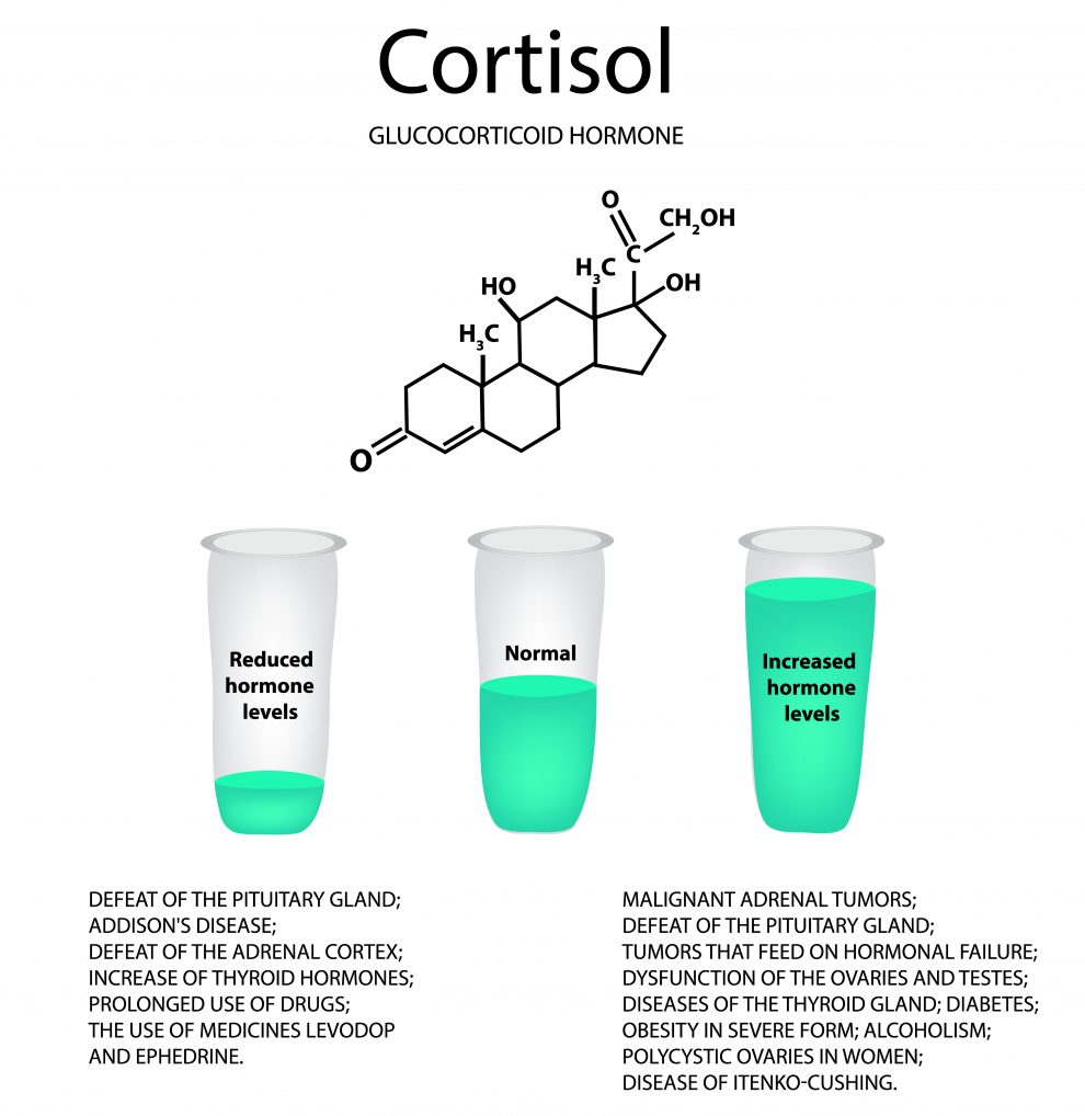 Symptoms Of High Cortisol Levels