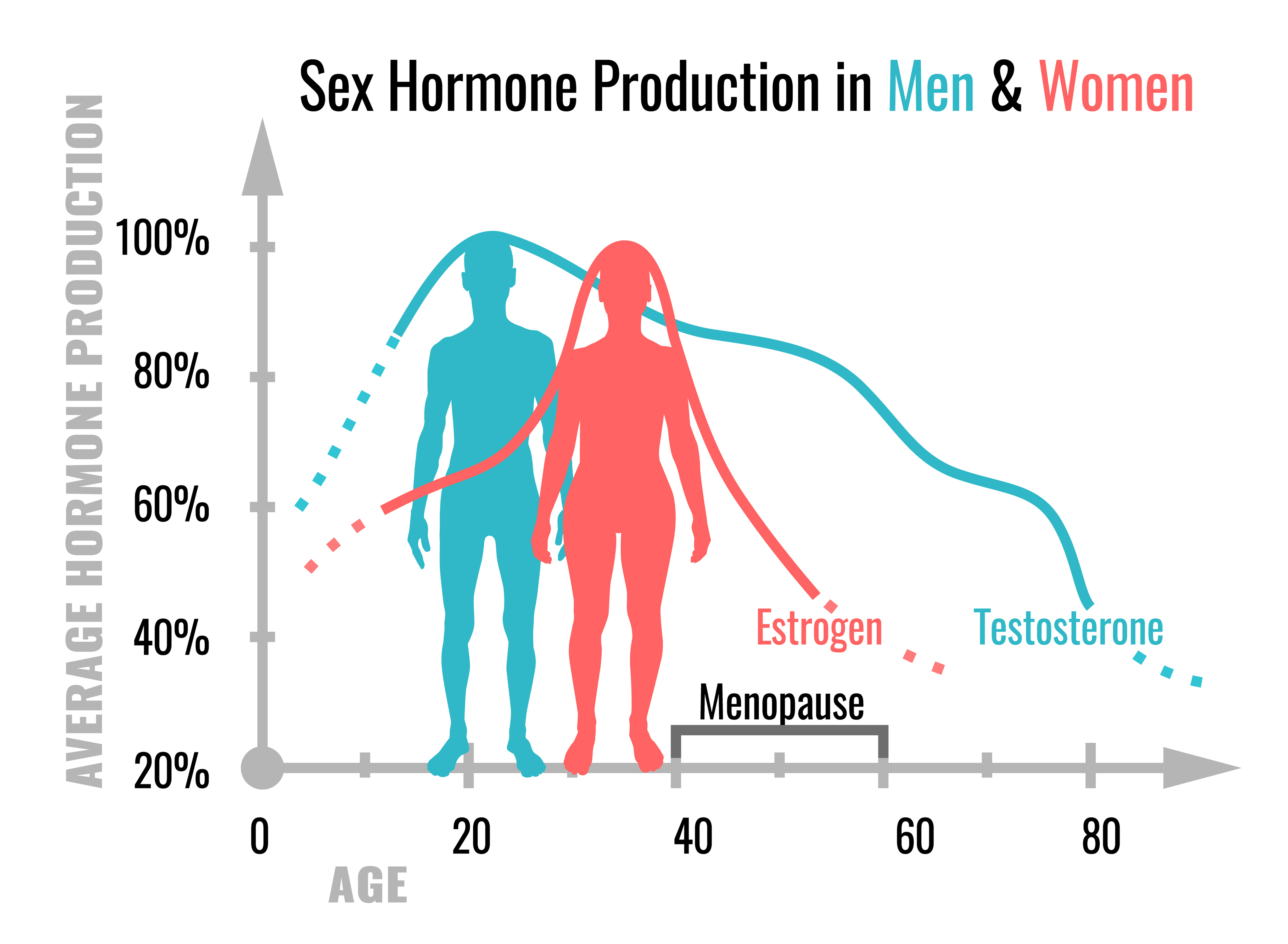 Male Vs Female Hormone Cycle Chart