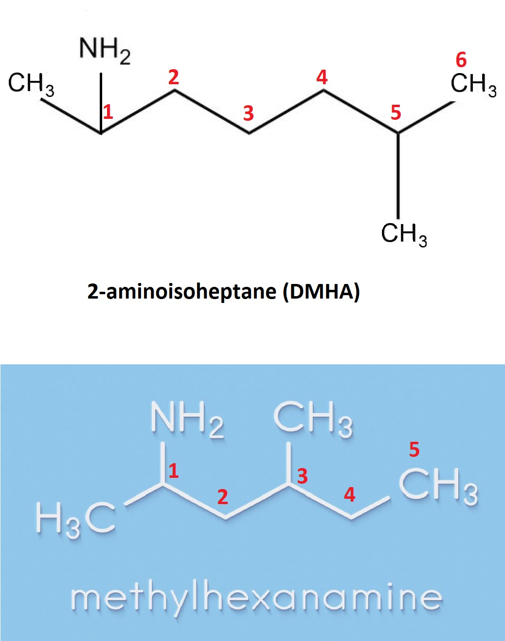 dmha-vs-dmaa-which-one-is-better