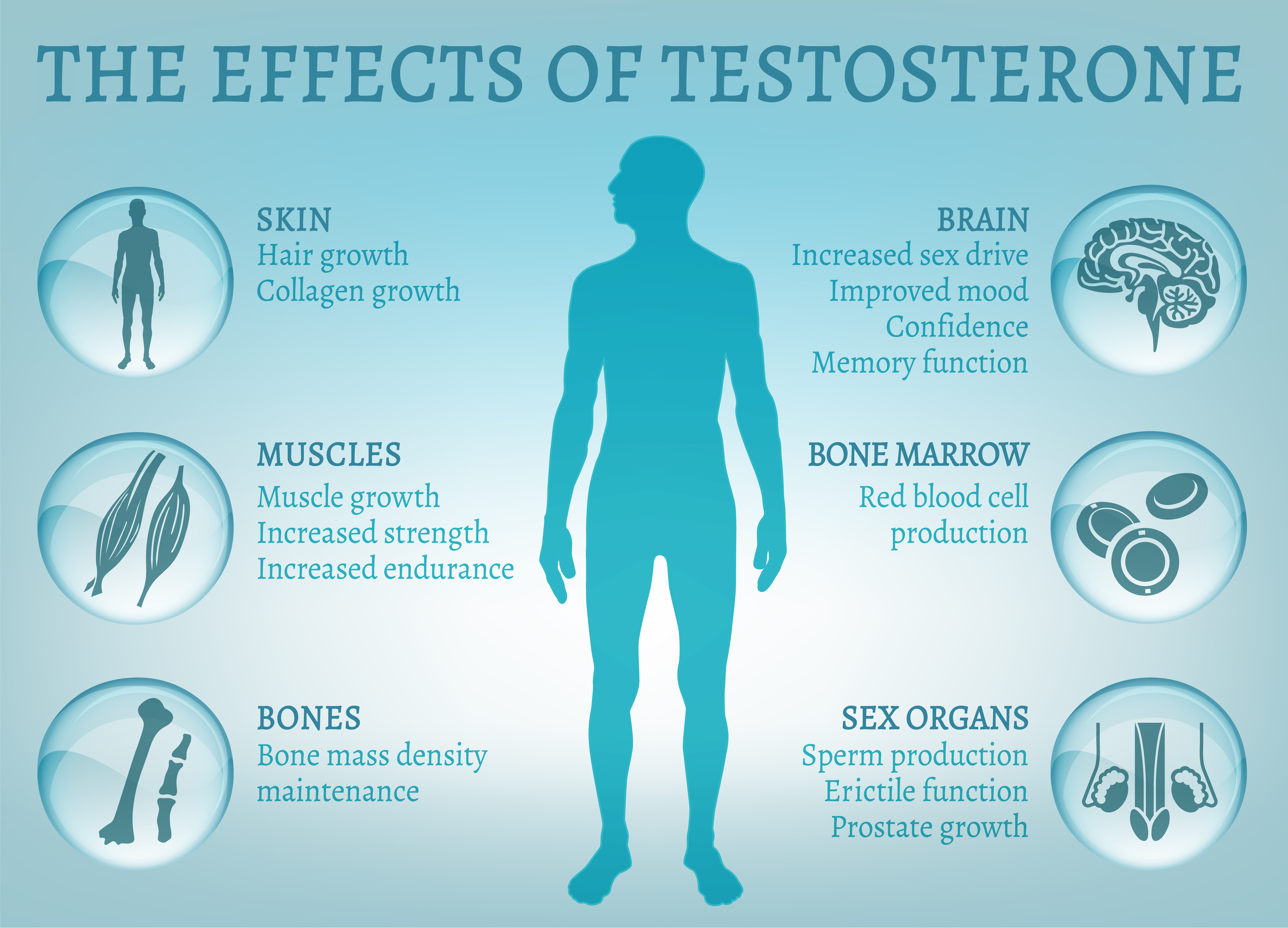 Testosterone Action And Testosterone Boosters Testosterone As Doping