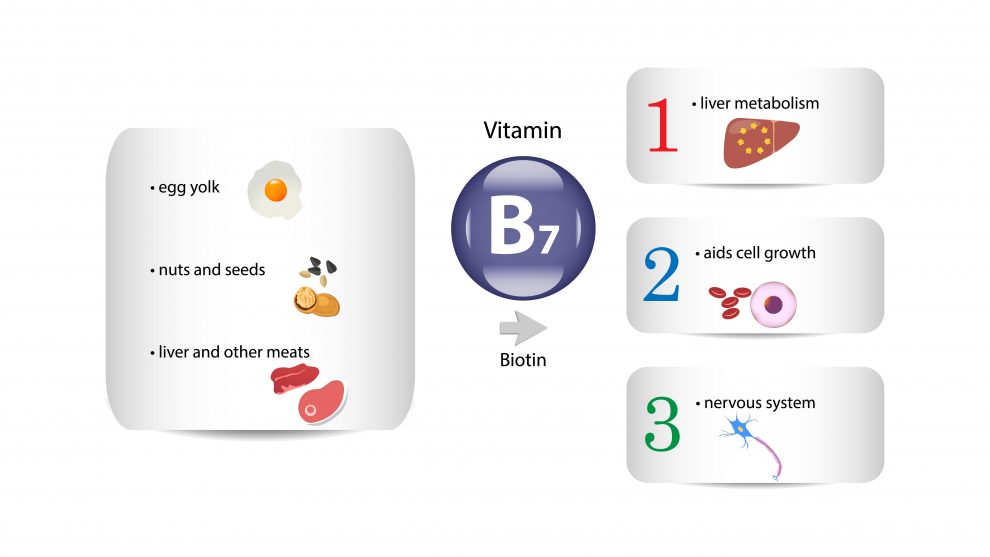 Biotin - Compedium