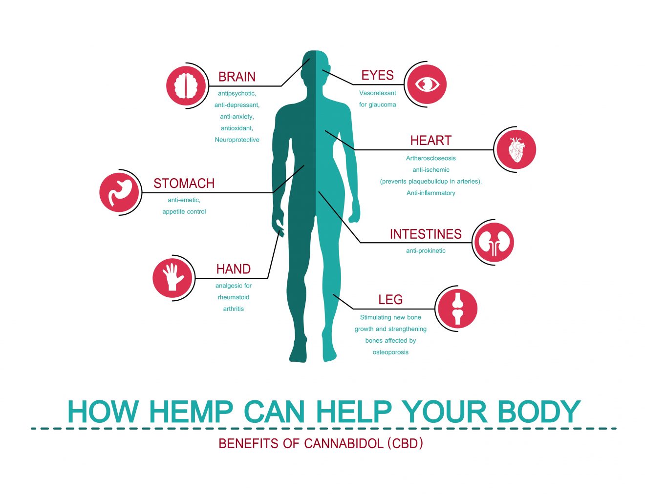 CBD – Therapeutic Power Of Plants,