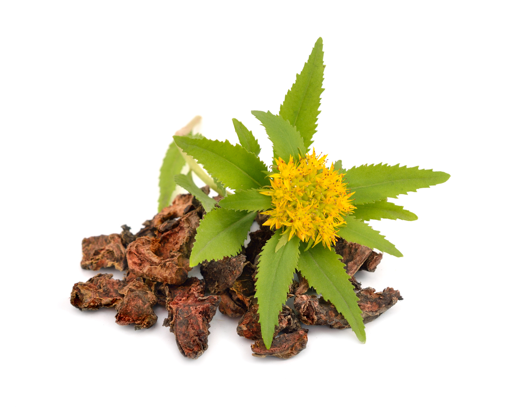 Benefits of Rhodiola Rosea