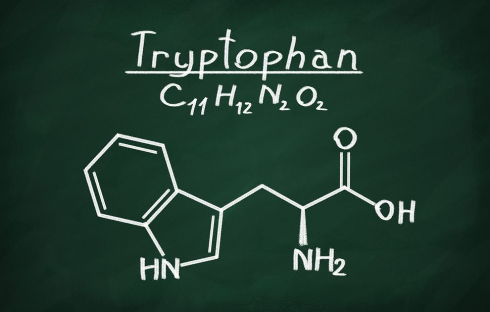 Tryptophan Actions Benefits And Dosage 1145