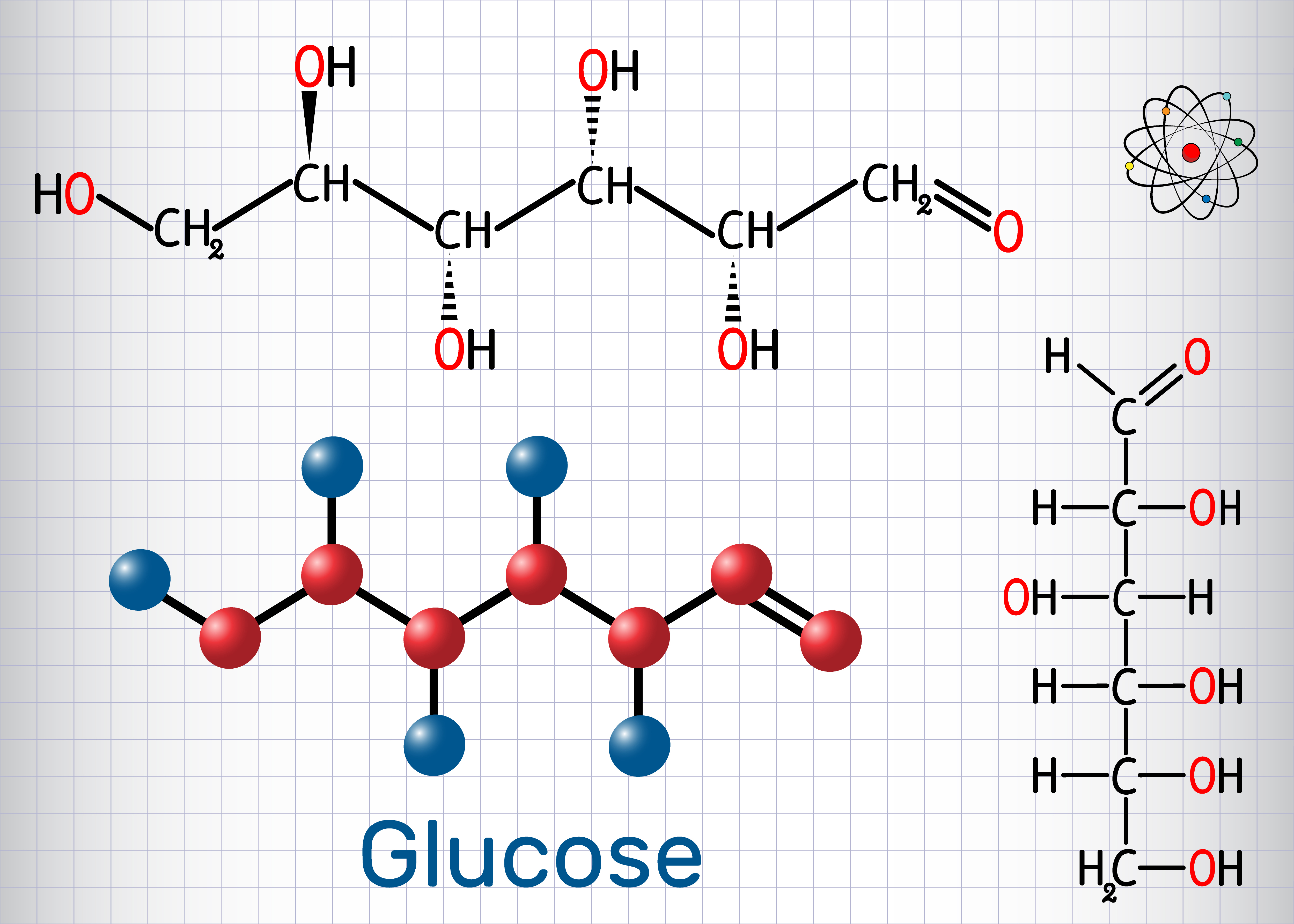 Information About Carbohydrates