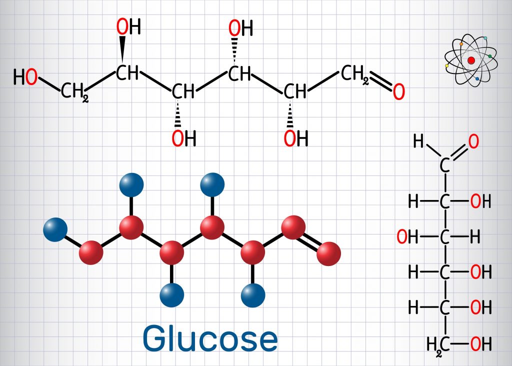 An Overview Of Plant Cell Structure Representing The Glucose Production 