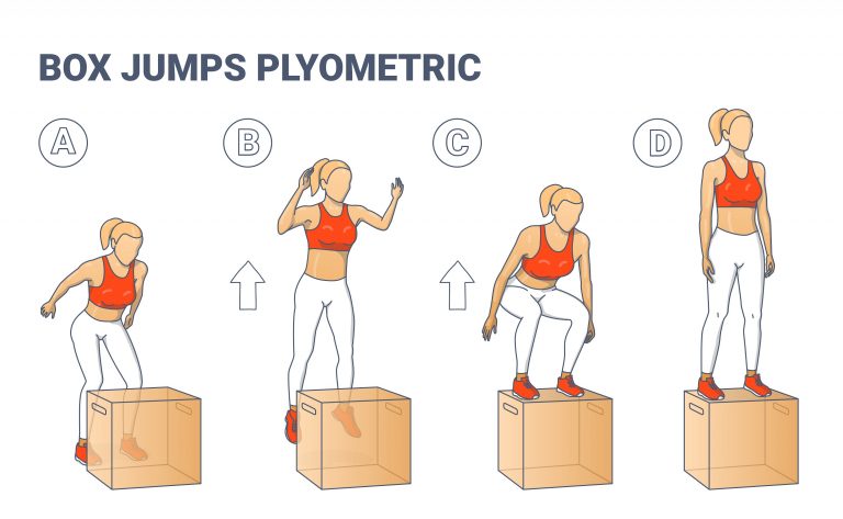 Plyometric Training Plan 